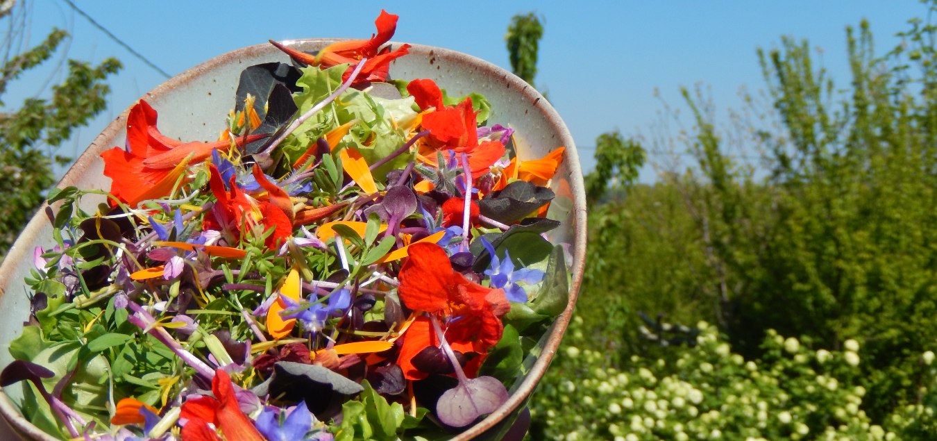 salad with edible flowers