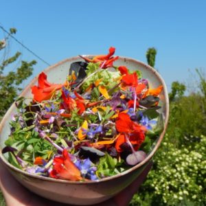 lokaal en biologisch eten tijdens een retraite in Frankrijk